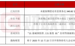 泛海控股340億債務(wù)逾期